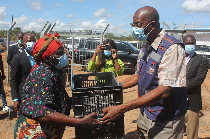 Governador do Moxico distribui pintainhos “sul-africanos” para combate à pobreza