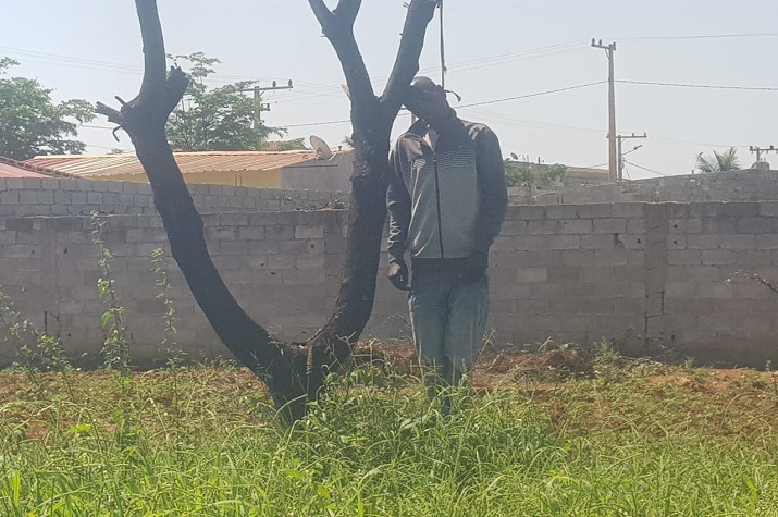 Custo de vida leva a enforcamento no Zango 3