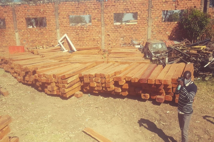 Detidos cidadãos no Moxico por corte e transporte de madeira do tipo Mussivi