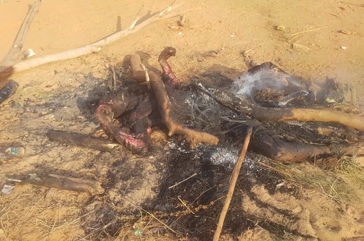 Morto e queimado pela população: Marginal vira comida de cães