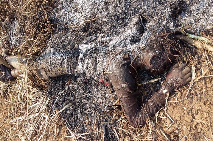 Cidadão é morto e carbonizado no Uíge ao tentar furtar uma galinha