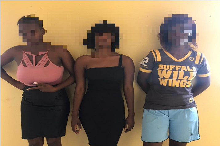 Grupo de mulheres prostitutas que 'drogavam' clientes para furtar os seus haveres recolhido as celas