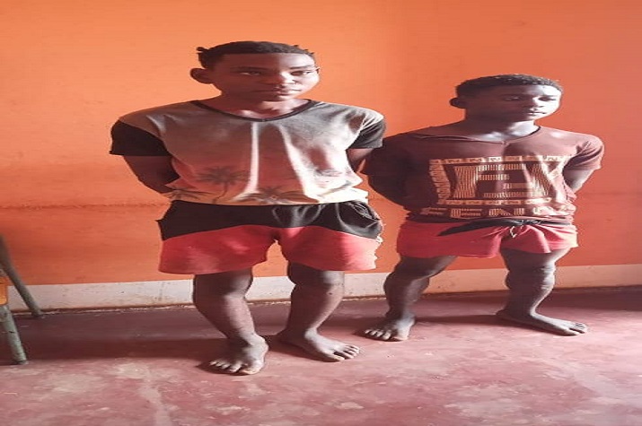 Detidos jovens de 18 e 19 anos que violaram e estrangularam uma cidadã de 58 anos de idade