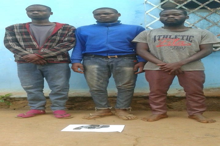 Menor de 13 anos de idade líder da gangue “UTB” detido com os seus comparsas