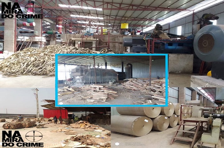 Songhua Fei: SIC-ANIESA e Saúde Pública encerram fábrica de papel por contaminar água do "Rio Paco"