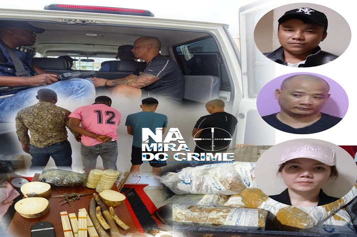 Vietnamita líder de rede de tráfico de marfim capturado no Condomínio Vereda das Flores