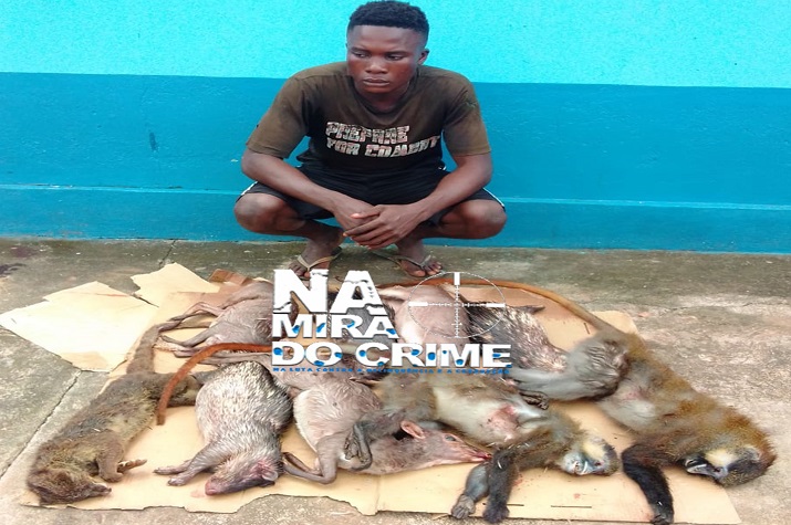 Cabinda- Caçador furtivo detido em Buku Zau