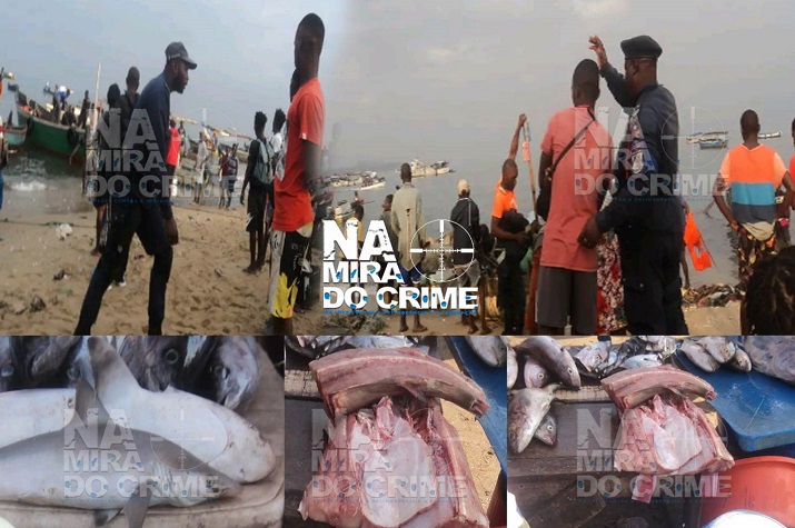 Crime ambiental: Pescadores continuam a 'exterminar' tubarões nas praias de Luanda