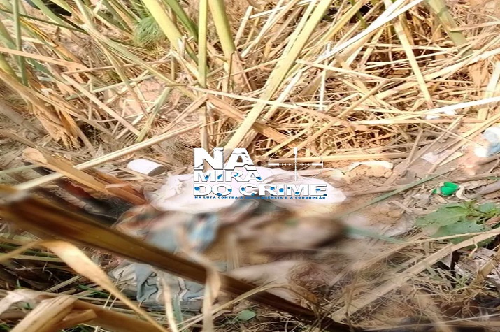 Zaire: Parte do corpo de recém-nascido (comido por porcos) encontrado numa lixeira