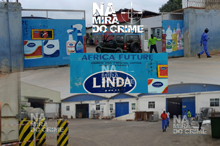 Costas largas na empresa - África Future acusada de desafiar a Lei Geral do Trabalho com despedimentos anárquicos