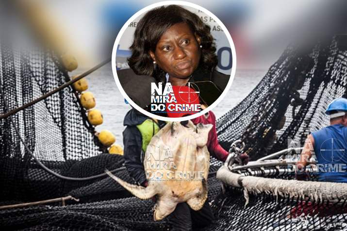 Pesca ilegal: Relatório dos EUA acusa governantes angolanos de ‘mixarem’ com o roubo sistemático dos frutos do mar                
