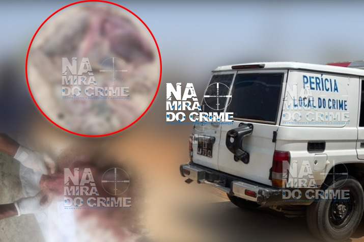 SEM OS RINS: Polícia recolhe parte de órgãos humanos na Ilha do Cabo