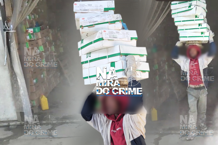 Empresa Fresh & Gold Comércio e Indústria expõe os seus funcionários a risco permanente de morte
