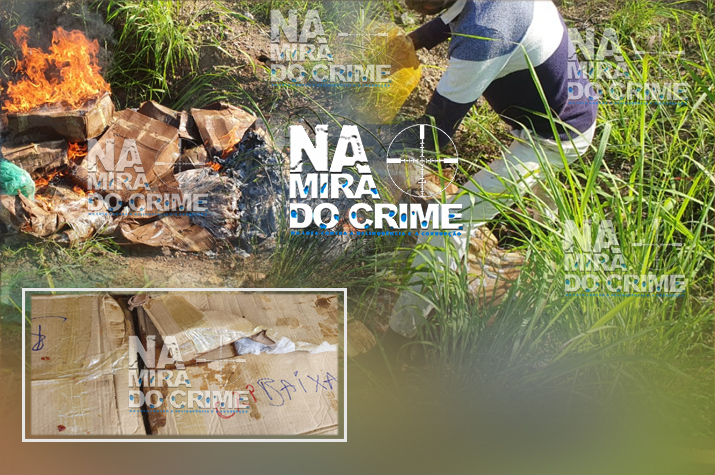Investigação Criminal incinera 400 Kg de peixe "podre"