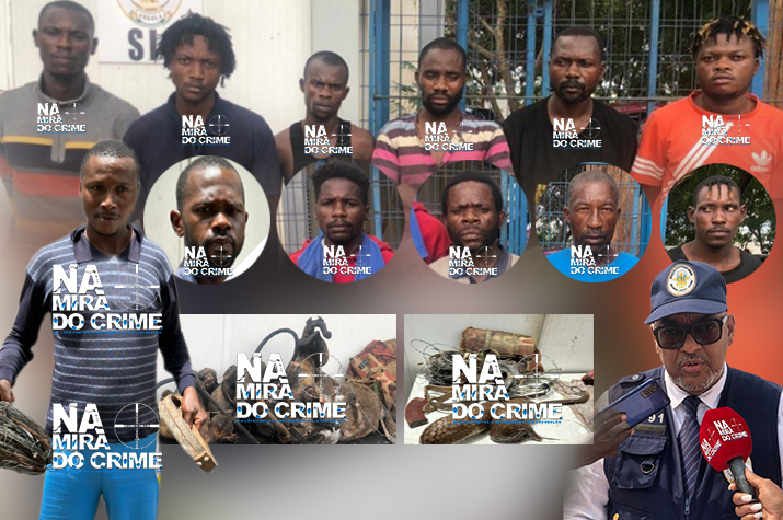 Caça com AKM: SIC-Luanda captura cidadãos que abatiam espécies de animais em via de extinção