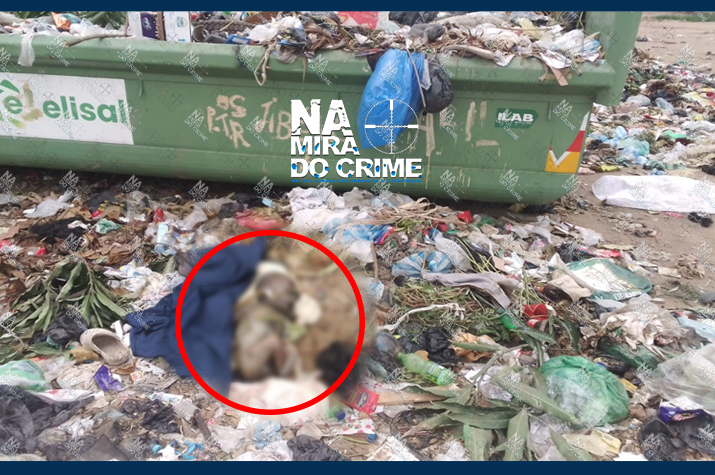 No dia da Mulher: Recém-nascido encontrado sem vida numa lixeira no município do Cazenga