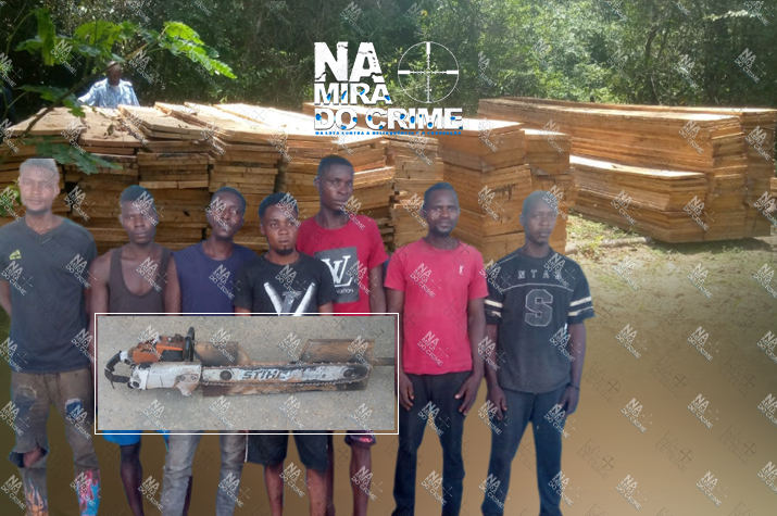SIC detém cidadãos da RDC que exploram ilegalmente madeira nas matas de Tchumbo