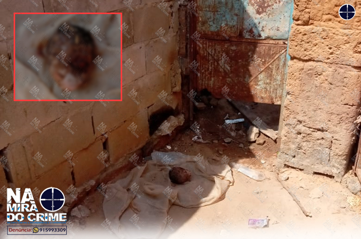 De recém-nascido: População encontra cabeça humana (decapitada) no bairro Caop
