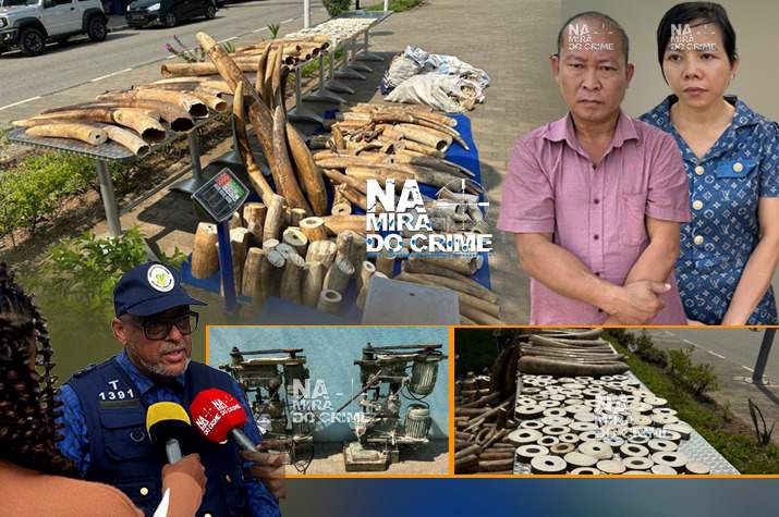 Vietnamitas que se dedicavam ao contrabando de marfim 'repousam' nas celas do SIC