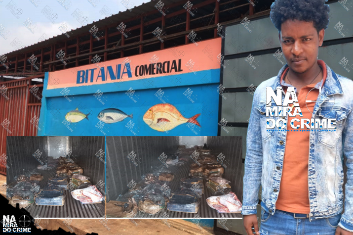 Cidadão eritreu detido na Lunda-Norte por venda de peixe em estado avançado de deterioração