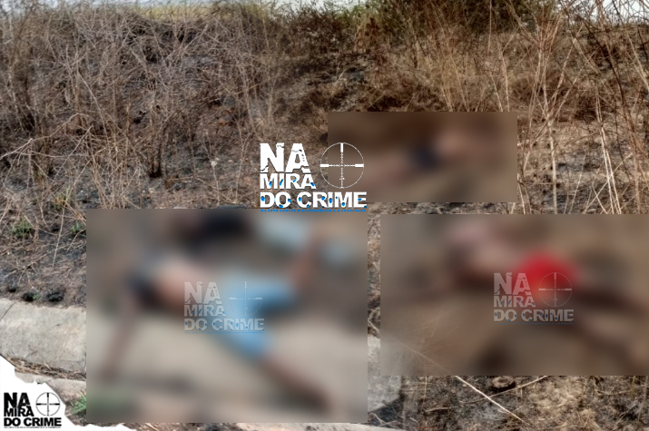 Limpeza: Quatro corpos de supostos bandidos encontrados num matagal em Icolo e Bengo perfurados com balas