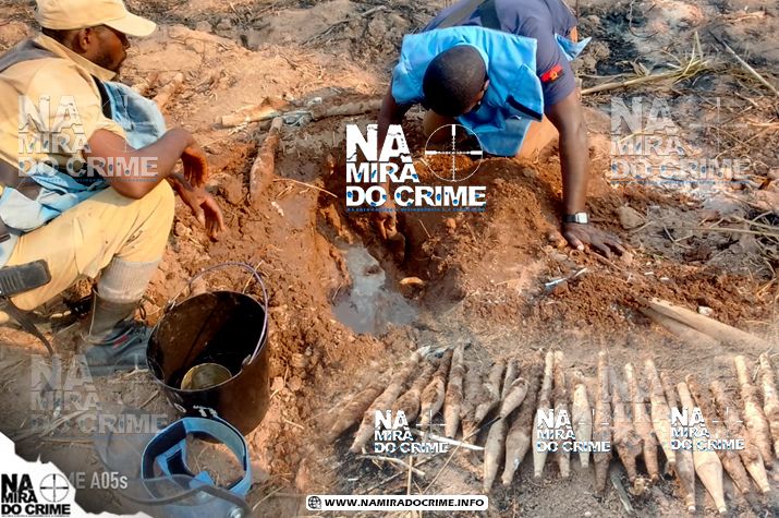 Autoridades recolhem mais de 20 minas encontradas numa lavra no Libolo