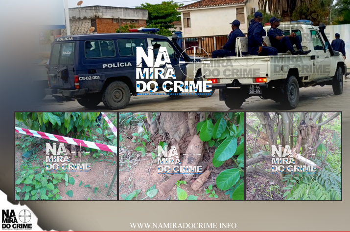 Agricultores descobrem granada, projéctil de RPG-7 e morteiros de 82 e 92 mm não detonados em Amboim e Quibala  