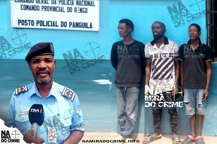 DIIP 'recolhe' autores de agressão sexual a menor de 12 anos