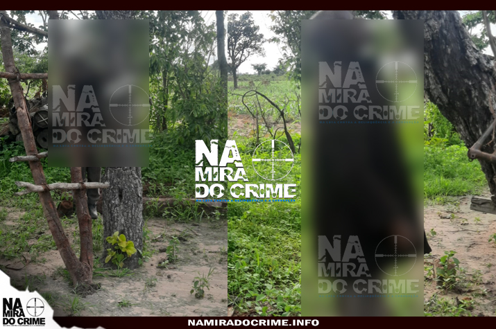 Ancião de 77 anos suicida-se após desentendimento com um dos filhos no município de Chicomba