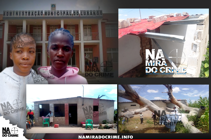 Administração do Lubango só olha:  Eucalipto cai sobre residência e não é removido desde 2023 no condomínio dos Mumuilas