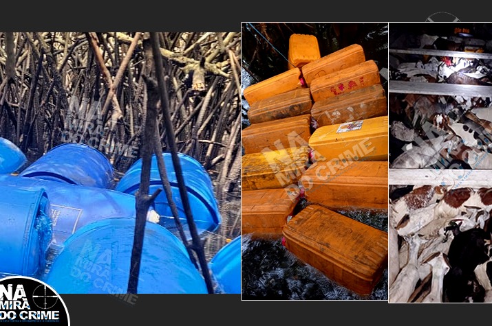 Polícia no Soyo apreende mais de 100 cabritos e 2500 litros de combustível do contrabando