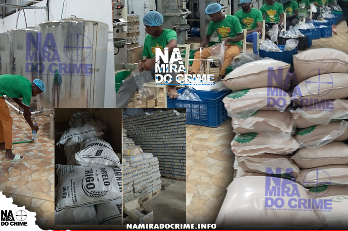 Só trabalhavam de madrugada: SIC desmantela na funda fábrica clandestina de produção de "whisky em pacotinhos"