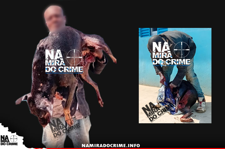 Jovem de 20 anos detido no Zango por supostamente matar um cão de raça Rotwailler para comercializar a sua carne