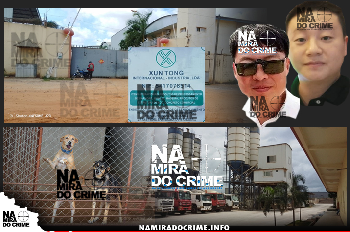 Encarcerava pessoas ao lado de 17 cães - Empresa XUNTONG (de cidadãos chineses) acusada de maltratar funcionários angolanos