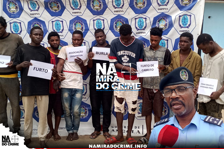 DIIP no Bengo desmantela grupo de bandidos "Os cães comeram" e "Modelo" e captura cidadão acusado de burla com promessas de venda de grandes quantidades de feijão manteiga