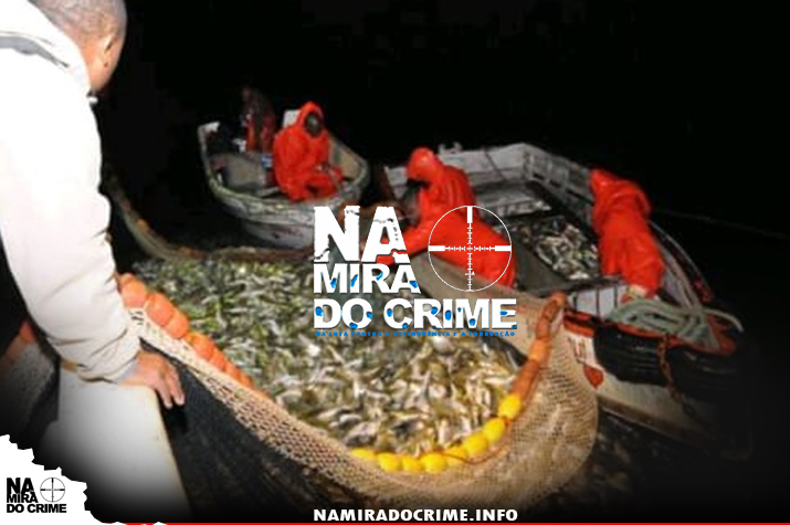 Cidadão vietnamita, são-tomense e angolanos detidos quando realizam pesca por arrastão na ilha do cabo