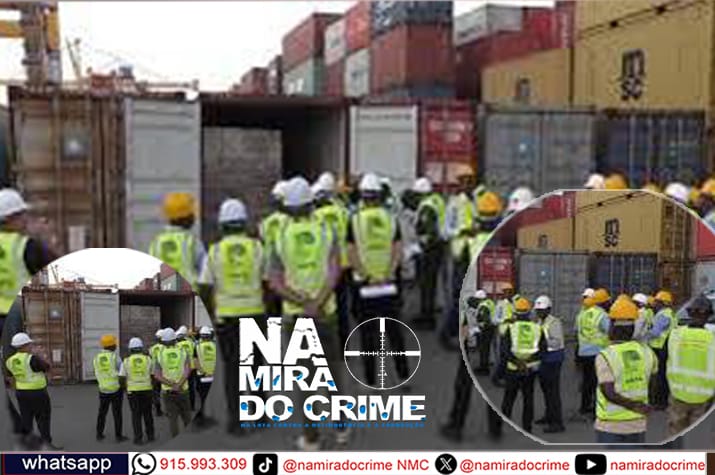 Tribunal Aduaneiro de Sofala autoriza entrega de 111 contentores de madeira à Safi Timber