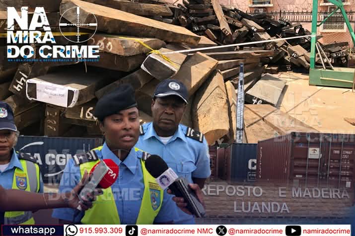 Polícia Fiscal Aduaneira apreende mais de 15 contentores carregados de madeiras mussivi que seriam exportadas para o Vietname