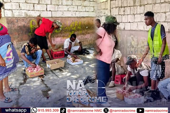 Senhoras denunciam grupo de jovens que furtam grandes quantidades de “frescos" durante divisão das "sócias" na Terra Nova ‎ ‎