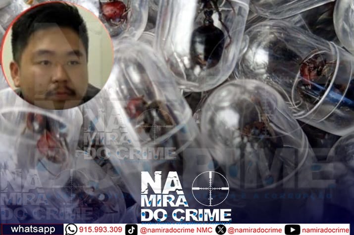 O chinês detido no Quénia quando tentava contrabandear 2 mil formigas rainhas