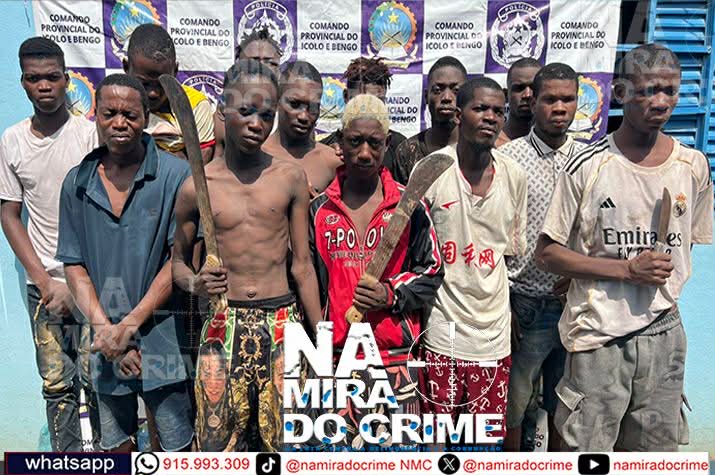Micro operação no Calumbo desmantela grupos de rixas e venda ilegal de marfim