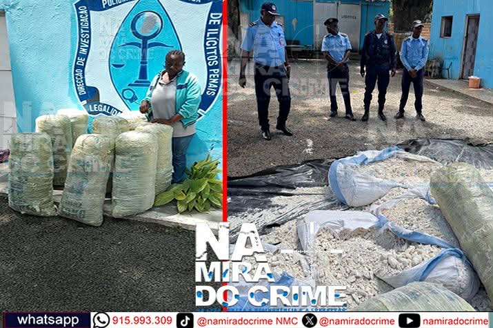 Na Lunda-Norte: DIIP detém cidadã de 38 anos de idade que transportava mais de 150 kg de liamba para Luanda escondidos em sacos de bombó