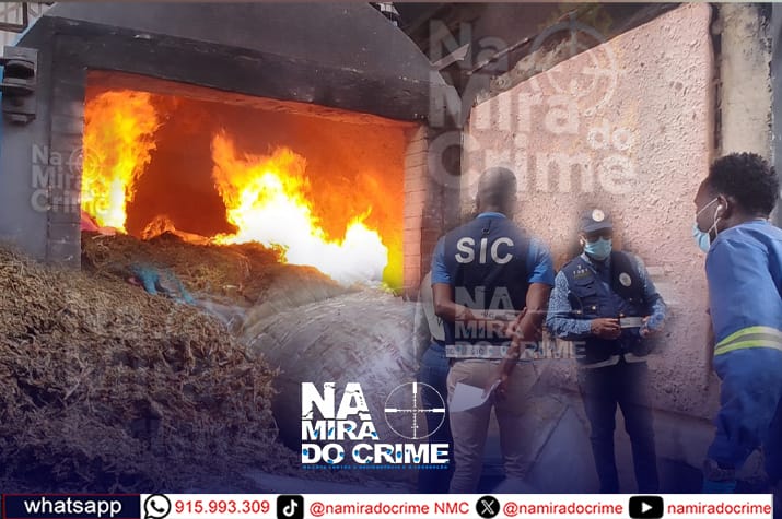 Cazenga, Viana e Mulenvos lideram tráfico da droga: SIC incinera mais de uma tonelada de Liamba e Skunk