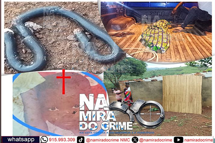 Menor de cinco anos morre após ser picada por uma cobra em Mbanza Congo