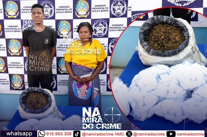 Mãe e filho apanhados em flagrante a vender em casa mais de 2 mil porções de liamba - Senhora é tida como a maior distribuidora de droga da zona