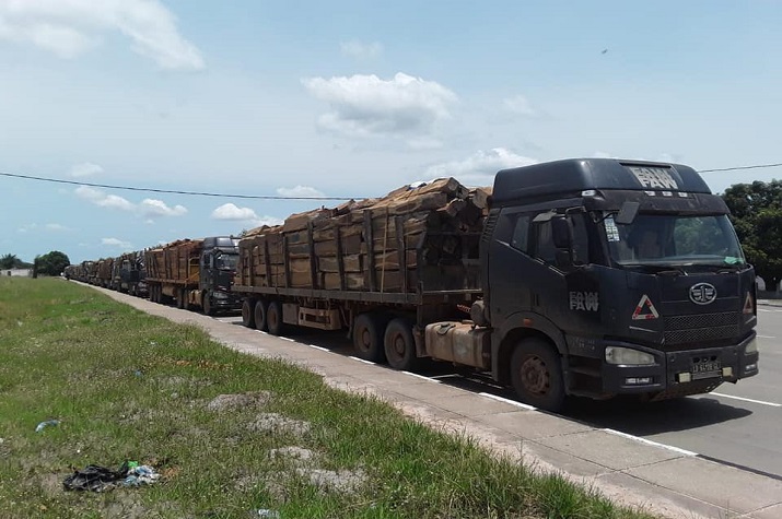 Apreendidos 12 camiões por fuga ao fisco e transporte ilegal de madeira