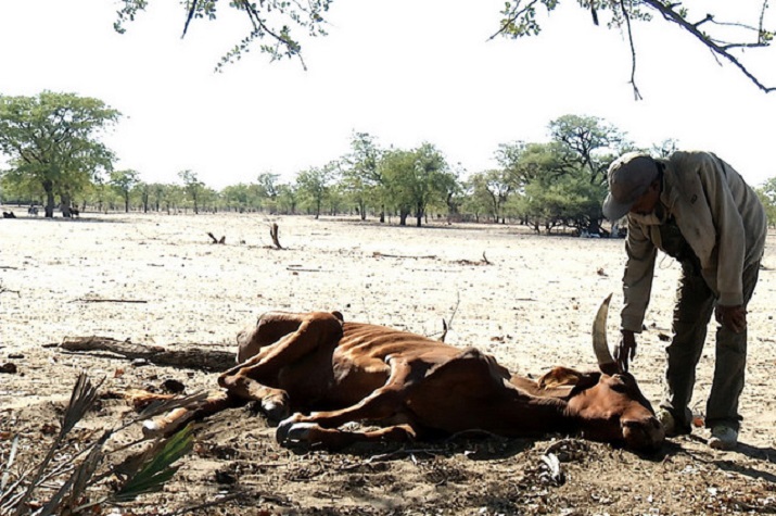Seca no sul do país afecta 2,3 milhões de pessoas - UNICEF