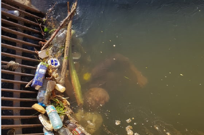 Cadáver em estado de putrefacção encontrado a flutuar no Canal do Kikuxi